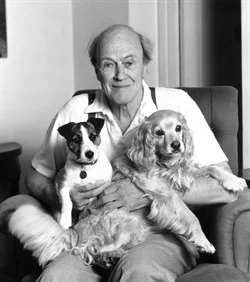Auteursportret van Roald Dahl